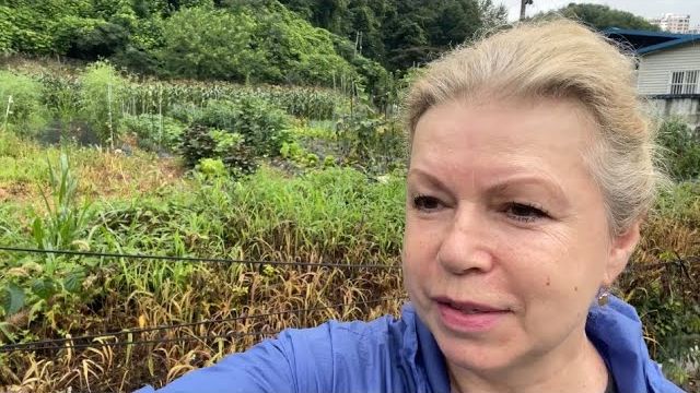 КАК ВЫЖИВАЕТ РУССКОЯЗЫЧНАЯ ТЁЩА В ЮЖНОЙ КОРЕЕ: Я педагог Немного о себе Образование Случаи из жизни смотреть онлайн