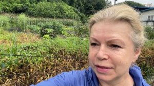 КАК ВЫЖИВАЕТ РУССКОЯЗЫЧНАЯ ТЁЩА В ЮЖНОЙ КОРЕЕ: Я педагог Немного о себе  Образование Случаи из жизни