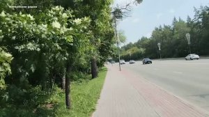 Лесопарковая зона в городе