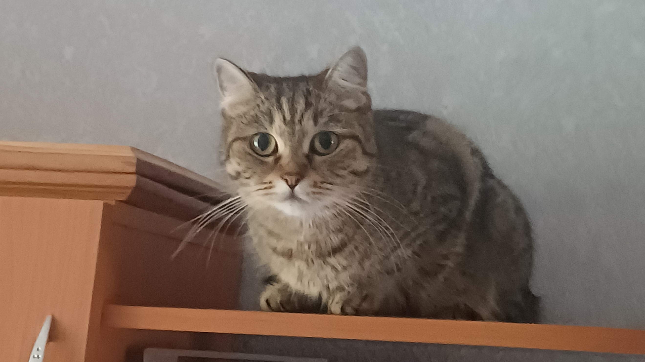 Не пон🤨 смотреть онлайн