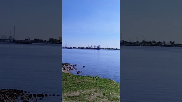 О жизни