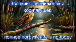 Мелодии болота: звонкий лесной конёк и хор лягушек — полное погружение в природу