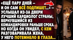 «ЕЩЁ ПАРУ ДНЕЙ — И ОН ВСЁ ПОДПИШЕТ…» — УСЛЫШАЛ ВРАЧ… НО, УВИДЕВ СОБЕСЕДНИКА ЖЕНЫ, ОН ОНЕМЕЛ…
