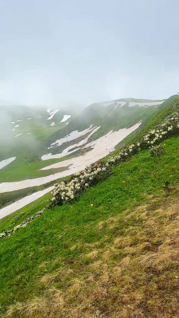 Бзерпинский карниз 🏔️ #поход #природа #бзерпинскийкарниз #красота #туризм