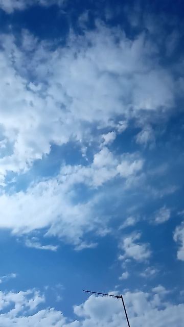 Когда на душе спокойно, просто посмотри на эту красоту ✨ смотреть онлайн