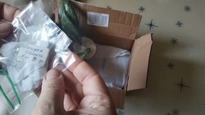 Хойи от Анюты Цветочной