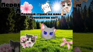 ИНФОРМАЦИЯ ПРО СТРИМ!!!