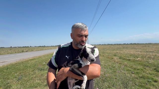 Спасли щенка на раскалённом поле