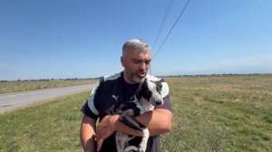 Спасли щенка на раскалённом поле