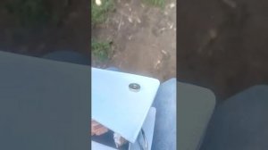 срочные новости) 🩷