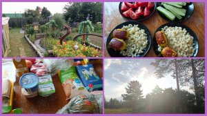26-07-2026💥Влог💥воскресенье 💥покупки 🛒 дома и на огороде 👨🌾