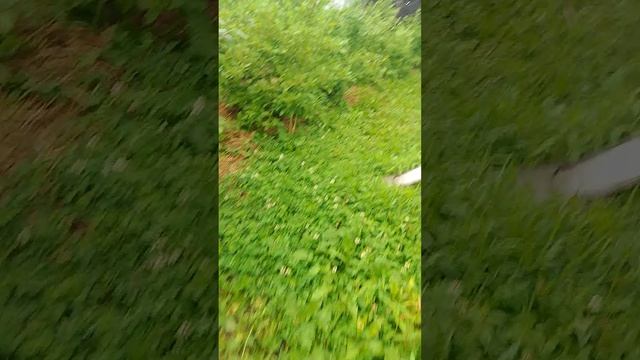 VID_20260712_150606 смотреть онлайн