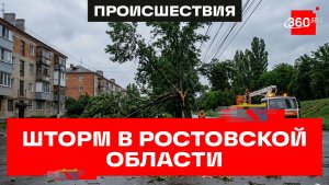Сотни поваленных деревьев, нет света и воды. Непогода в Ростовской области
