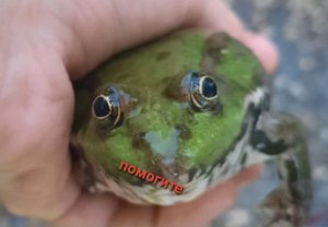 чо-то делаю залетай!!!