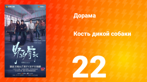 Кость дикой собаки 22 серия