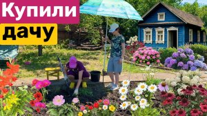 Два дня на ДАЧЕ / Сажаем цветы / УБОРКА на участке / Купили дачу