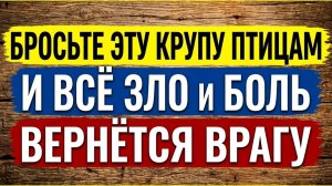 Верни свой достаток и здоровье!  Накормите птиц крупой и всё зло вернётся врагу. Приметы и практики