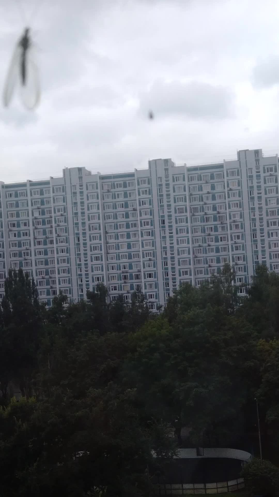 едем в кино часть 1 смотреть онлайн