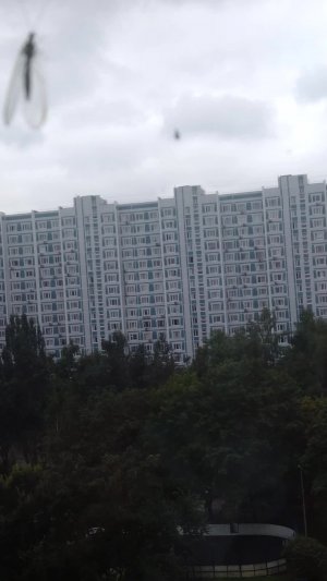 едем в кино часть 1