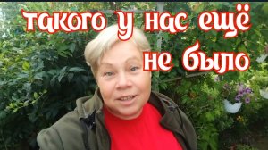316🏡Такого у нас ещё не было