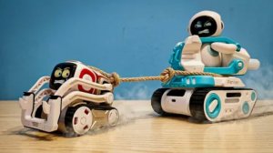 Робот Cozmo против робот Eilik на танке! Кто победит