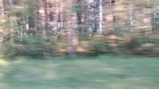 я еду домой 🍓🍓🍓🍓🍓🍓🚗🚗🚗