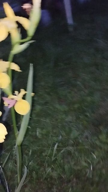 26-07-2026