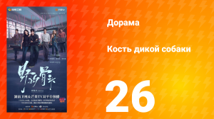 Кость дикой собаки 26 серия