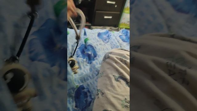 1000022312.mp4 смотреть онлайн