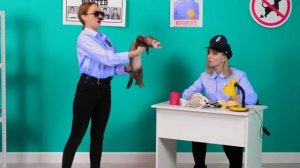 Как Пронести Домашних Животных в Самолёт # Сумасшедший Челлендж от DoDo Challenge