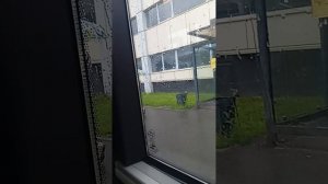 еду на новом автобусе