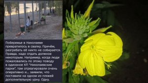 Николаев 26 июля 2026 года (новости)