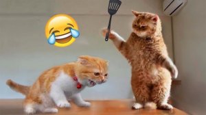 Самые смешные животные / Приколы с котами и собаками 2024
