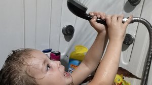 Евуля водяной