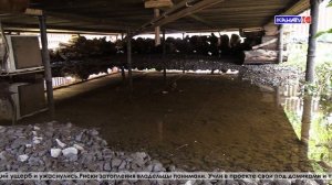 База отдыха в Горпарке ушла под воду: предприниматели подсчитывают ущерб