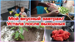 Мой завтрак,очень вкусный/Устала после выходных,выдохнулась