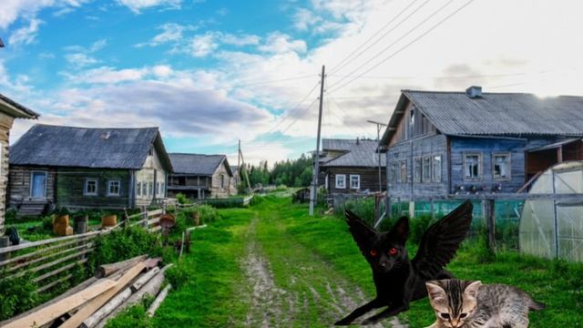 Мультик 