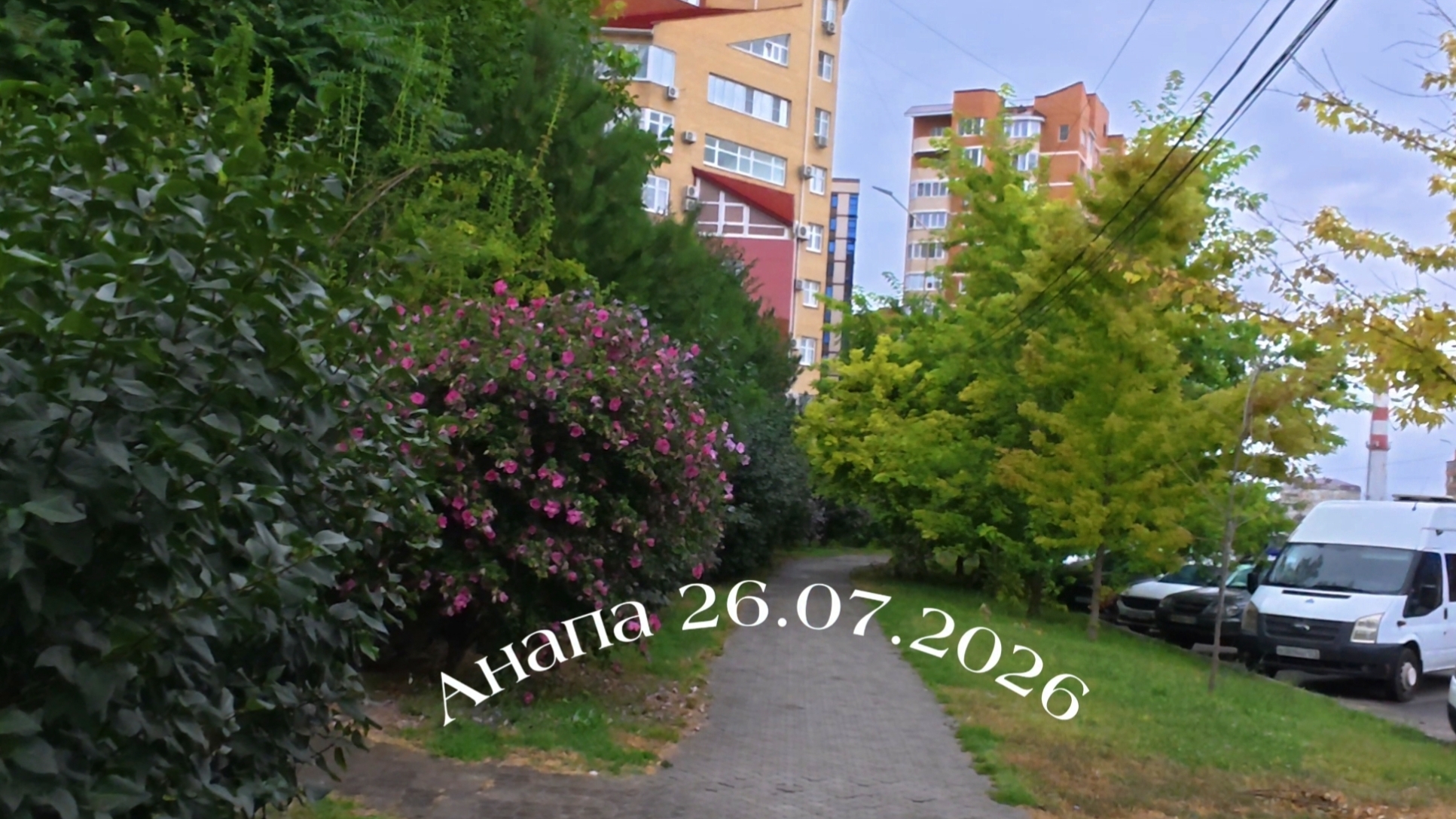 Анапа 26.07.2026 под дождём смотреть онлайн