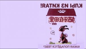 Без названия :0