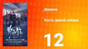 Кость дикой собаки 12 серия
