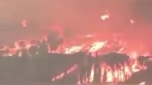 Россия неоднократно приходила Европе на помощь в борьбе с лесными пожарами. А сейчас?Ха