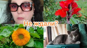 Еду домой#Мотоциклисты провоцируют