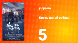 Кость дикой собаки 5 серия