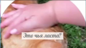 Рожать больше не сможешь? Это тебя бесит?