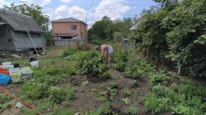 Семейные будни /Жизнь в Крыму 24.07.26