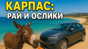 Путешествие на край Кипра_ Карпас, ослики и бирюзовые бухты.🔥