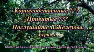 Корнесобственные. Привитые. Послушайте В.Железова. Серия 1.