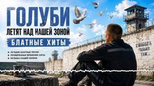 Голуби летят над нашей зоной