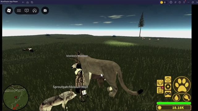 УНИЖАЕМ + УБИВАЕМ ОХОТНИКА за кугара в Roblox: Yellowstone Unleashed