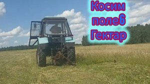 Как косить сегментной косилкой!!! скосил ещё одно поле где нет травы!!